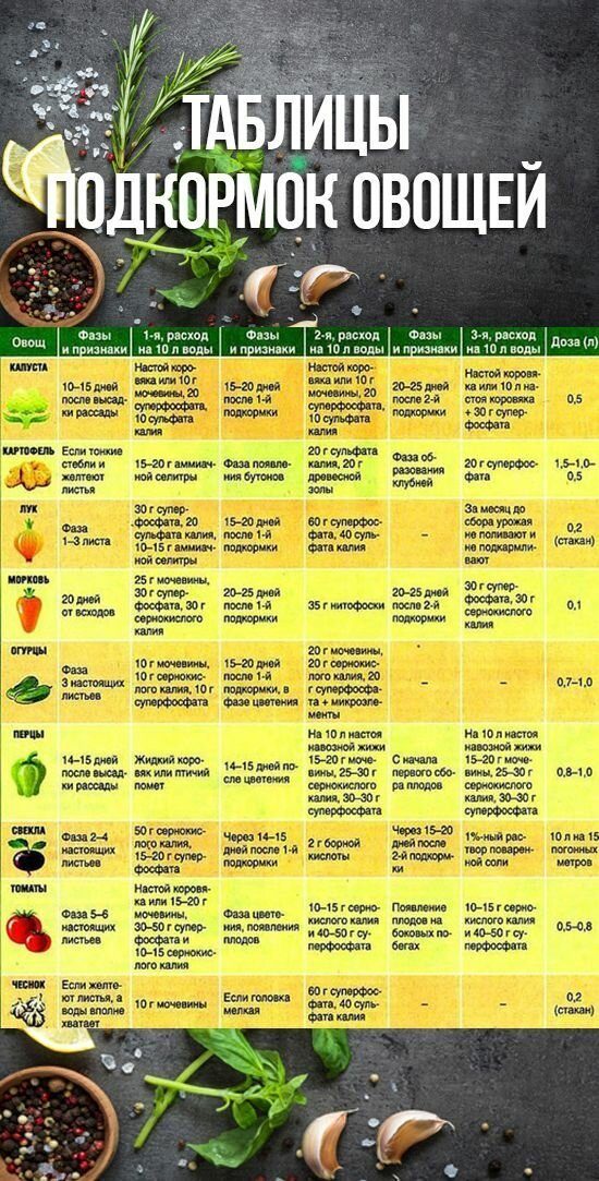 25 важных шпаргалок для садоводов-огородников