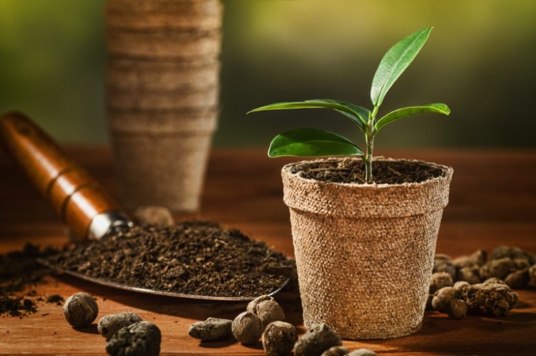 Удобрение для комнатных растений из кофейного жмыха