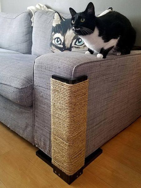 Как обновить испорченный котом диван