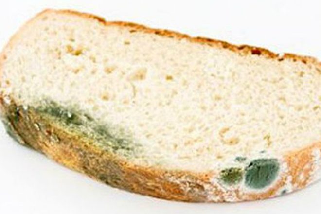 Что произойдёт с организмом если съесть хлеб с плесенью