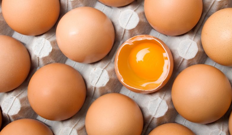 Применение лотков от яиц
