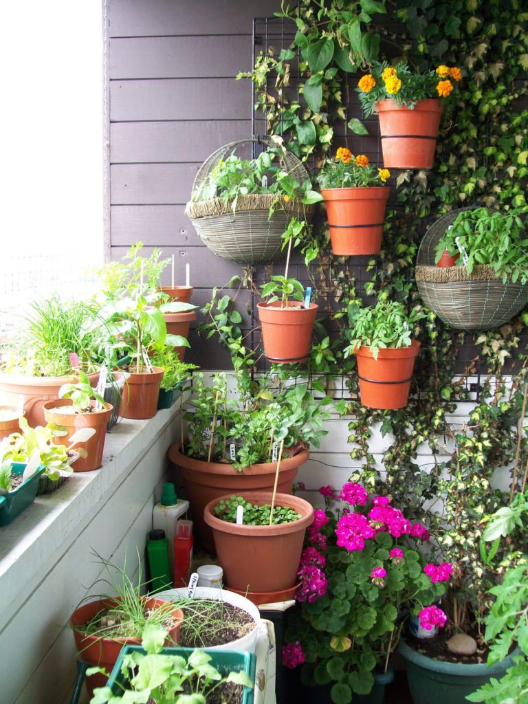 Идеи превращения балкона в цветущий сад
