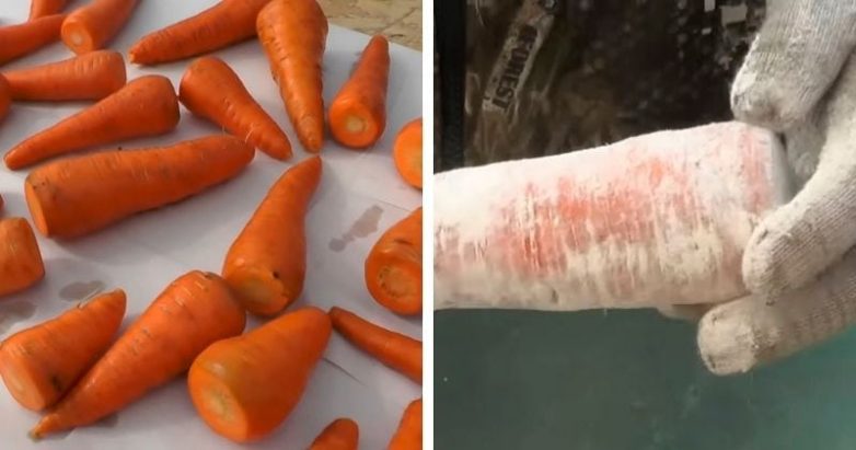 Как сохранить сочную морковь без погреба