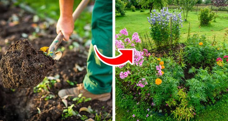 Полезные свойства соды, которые помогут преобразить ваш сад
