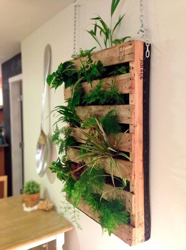 Как оформить зелёную стену из растений в доме