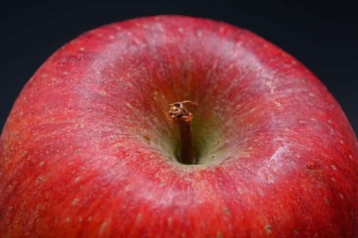 Когда и чем подкормить яблоню