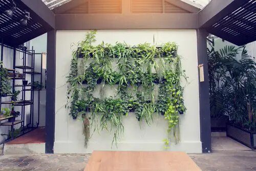 Идеи украшения дома вертикальным зелёным садом