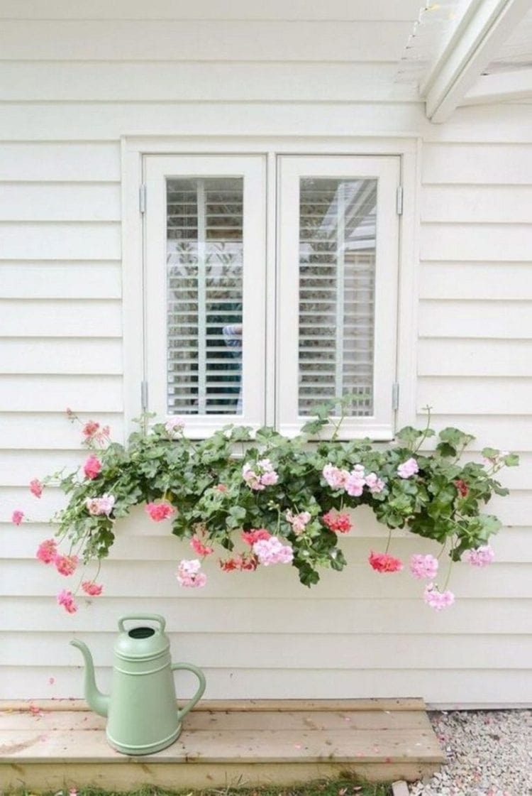 Красивые мини-клумбы под окнами для любителей живых цветов
