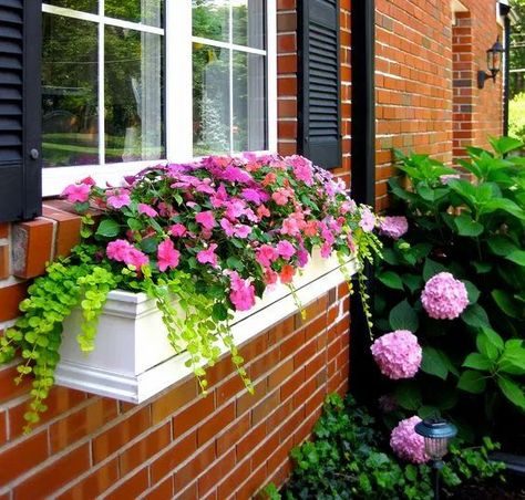 Красивые мини-клумбы под окнами для любителей живых цветов