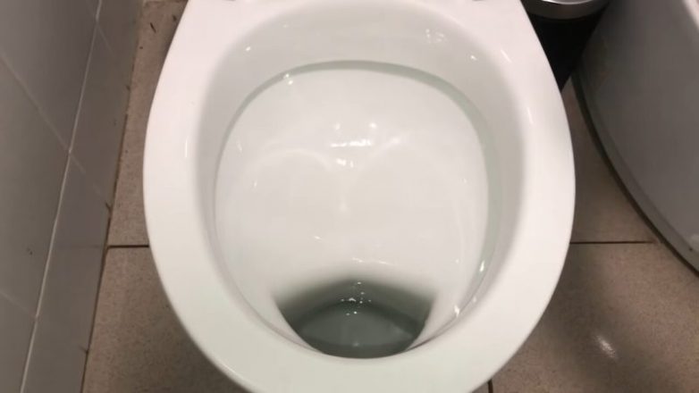 Секрет идеального туалета без хлорки