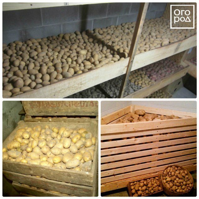 Как правильно хранить картофель в доме