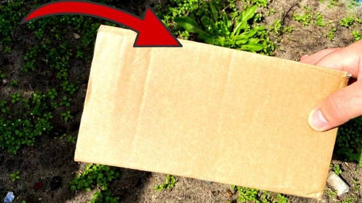 Как избавиться от сорняков с помощью обыкновенного картона