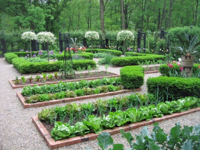 Как превратить огород в часть ландшафтного дизайна