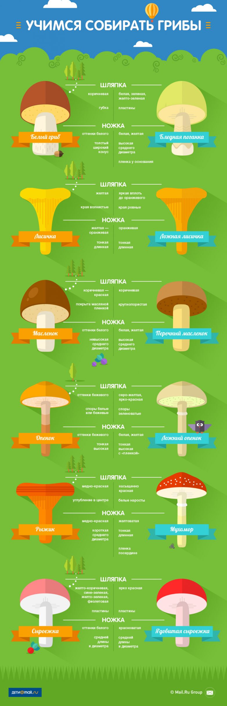 Учимся собирать грибы