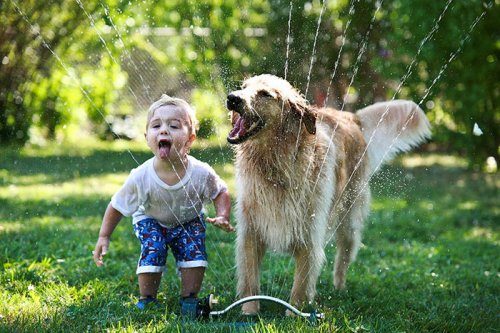 Очаровательные фото детей с собаками