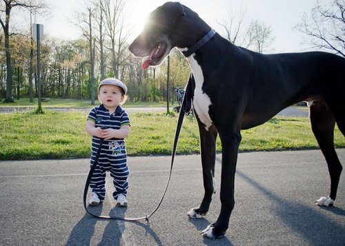 Очаровательные фото детей с собаками
