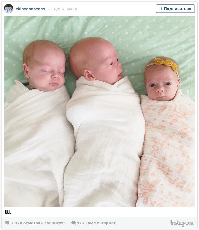 Братья крошки. Австралийская девушка родила шестерых детей. Дети родившиеся в 2009-2010 году. Фото 3х грудничков вместе.