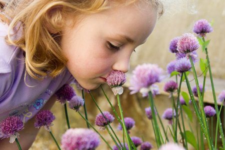 Как запахи влияют на поведение детей?