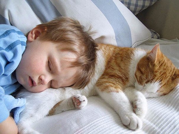 Забавные фото малышей, спящих со своими питомцами