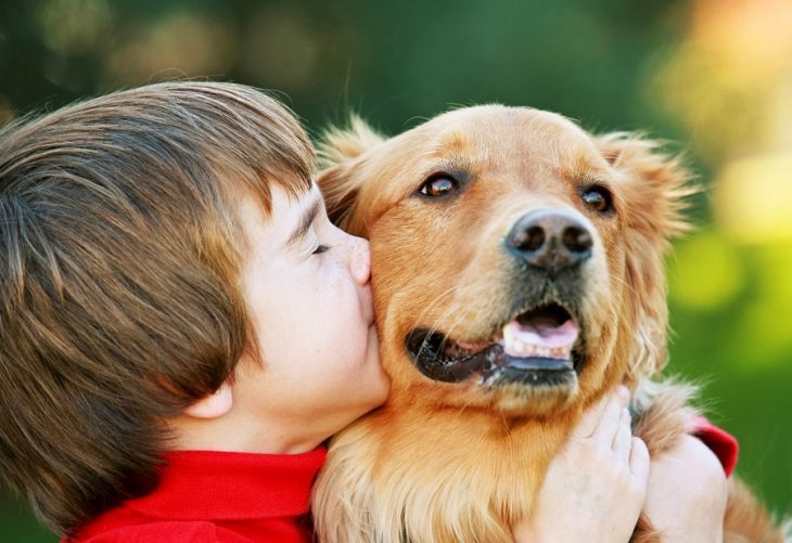 Чем ребенок может заразиться от домашних животных?