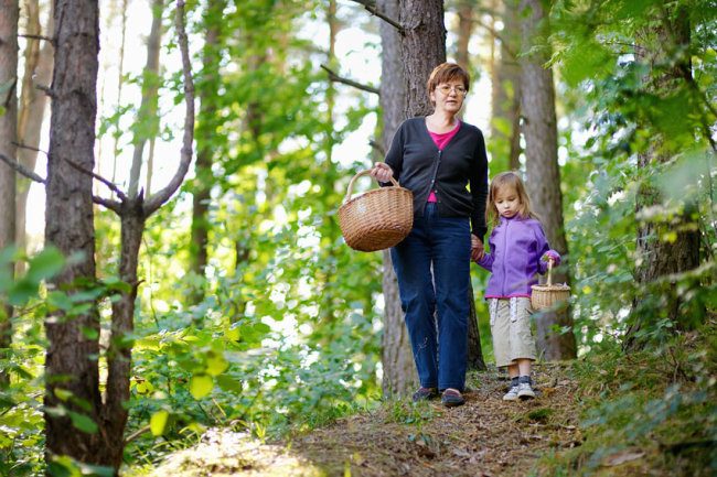 Чтобы ребенок не заблудился в лесу: памятка для детей и родителей