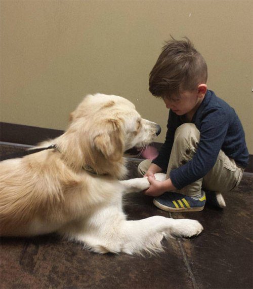Собаки — лучшие друзья детей!