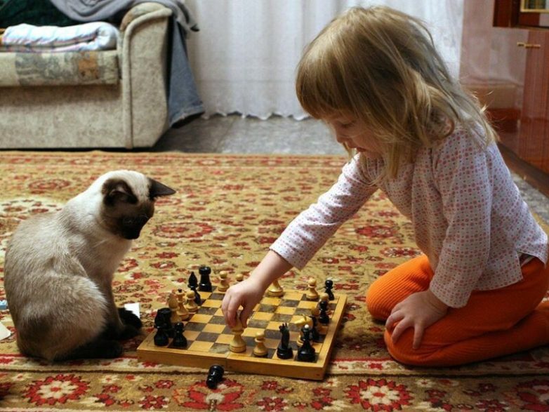Дети общаются с домашними животными