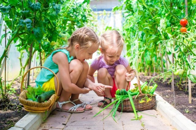 Какие продукты будут особенно полезны детям весной?