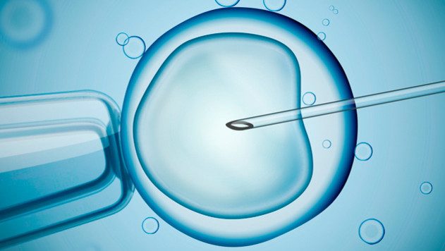 Ученые рекомендовали не ложиться сразу после трансплантации эмбриона во время ЭКО