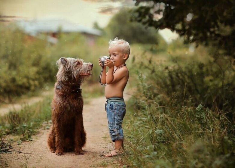 Дружба детей и собак