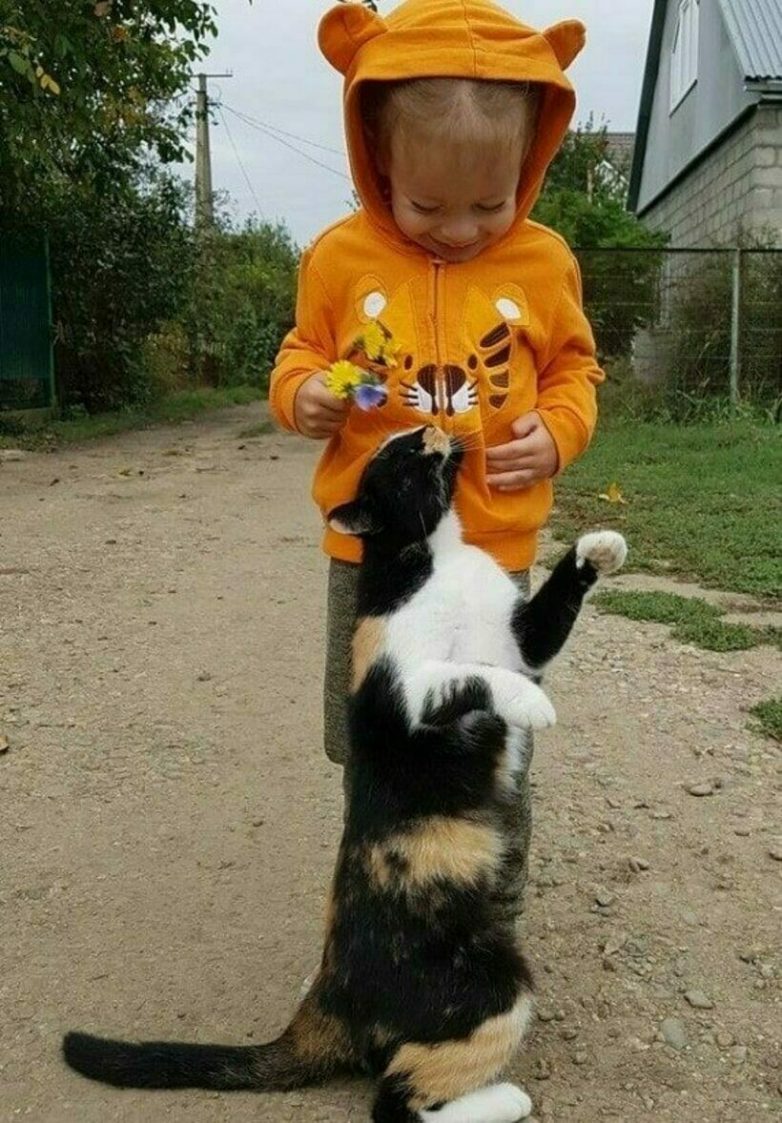 Дети и животные - идеальные друзья