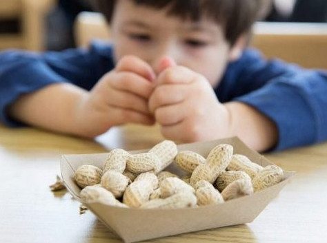 Почему малышам нельзя давать черри и орехи?