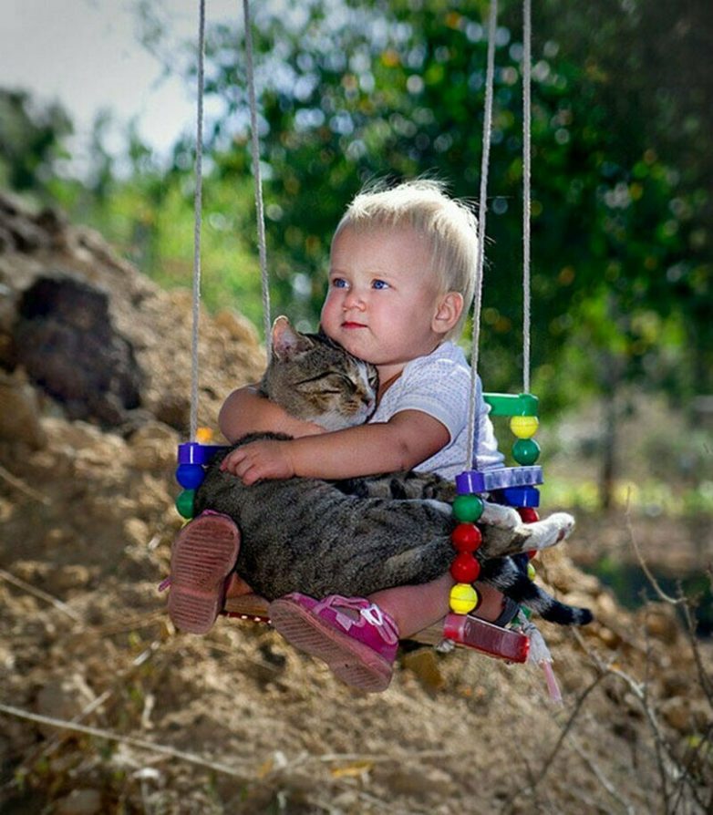 Кошки — лучшие друзья детей!