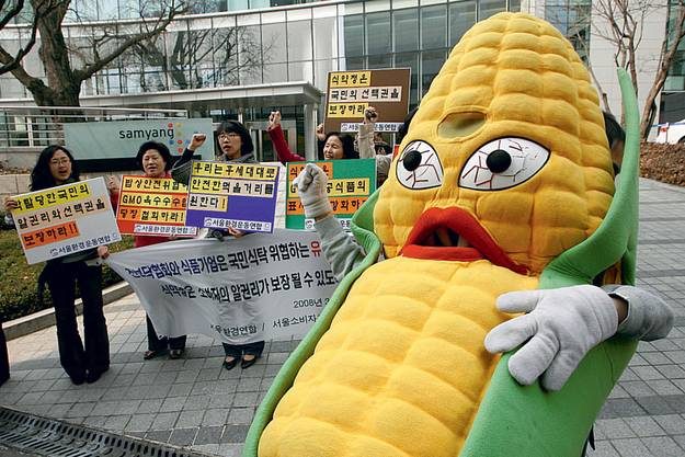 &amp;laquo;Зеленые&amp;raquo; протестуют против ГМО