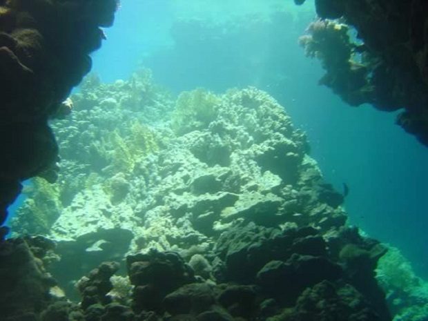 Загадки под водой: какие тайны хранит Марианская впадина