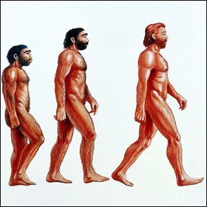 Любопытные факты об эволюции человека