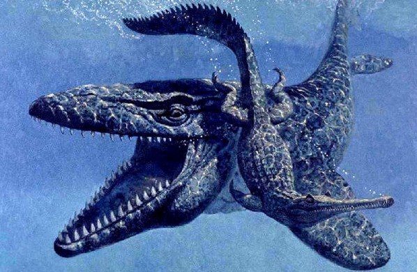 Морские драконы прошлого