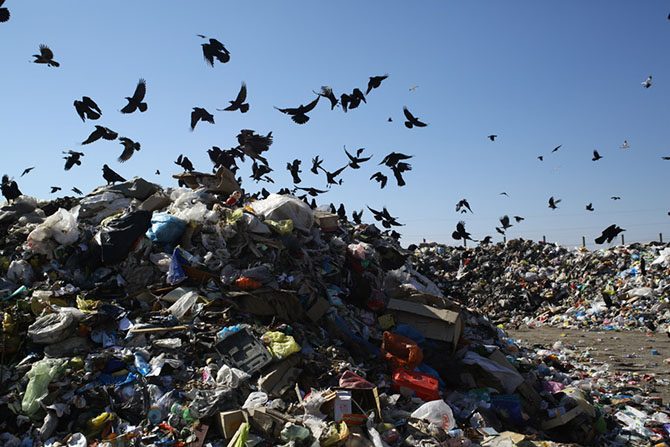 Что происходит с мусором, который попадает на переработку