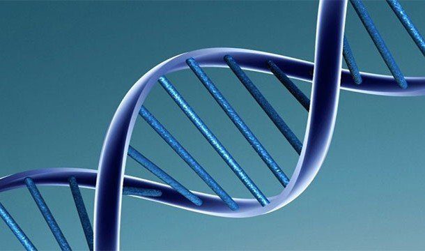 Чтобы больше узнать о себе: факты про ДНК