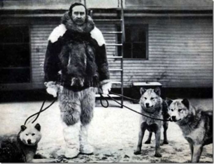 Как у Кука украли Северный полюс