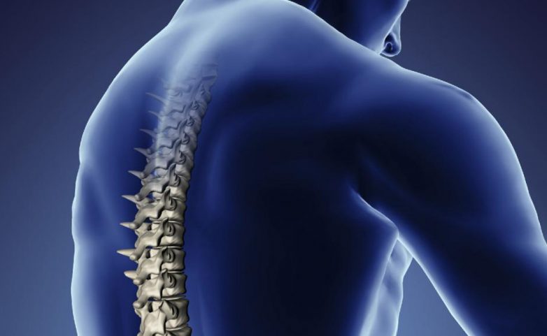 Боли в спине: всё, что нужно об этом знать