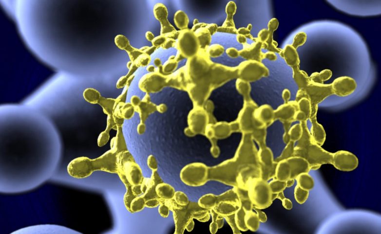 Самые опасные вирусы, известные науке сегодня