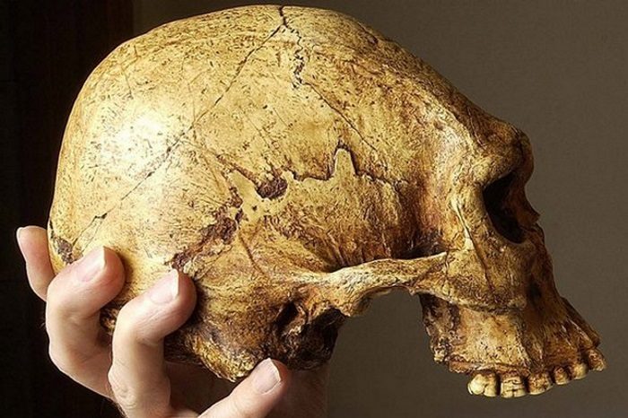 Как доисторические люди уродовали себя ради красоты