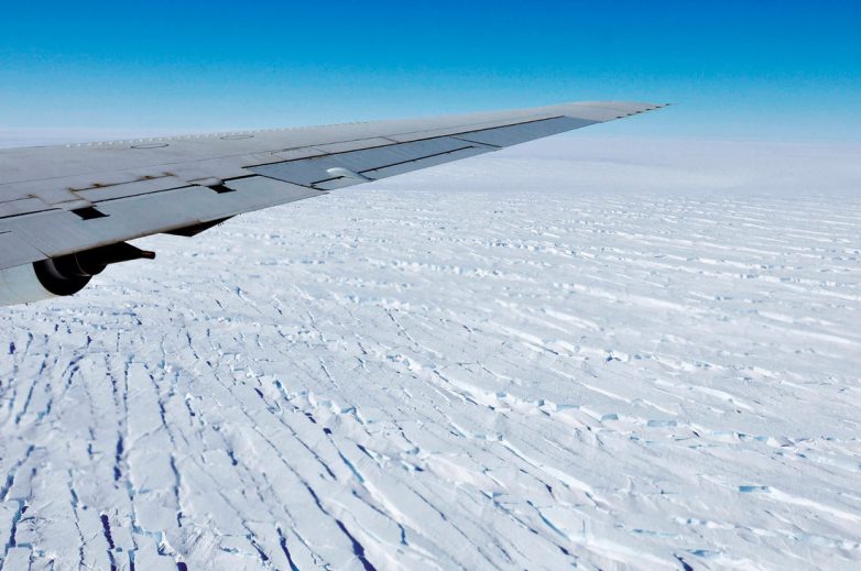 Новые формы жизни подо льдом в Антарктиде