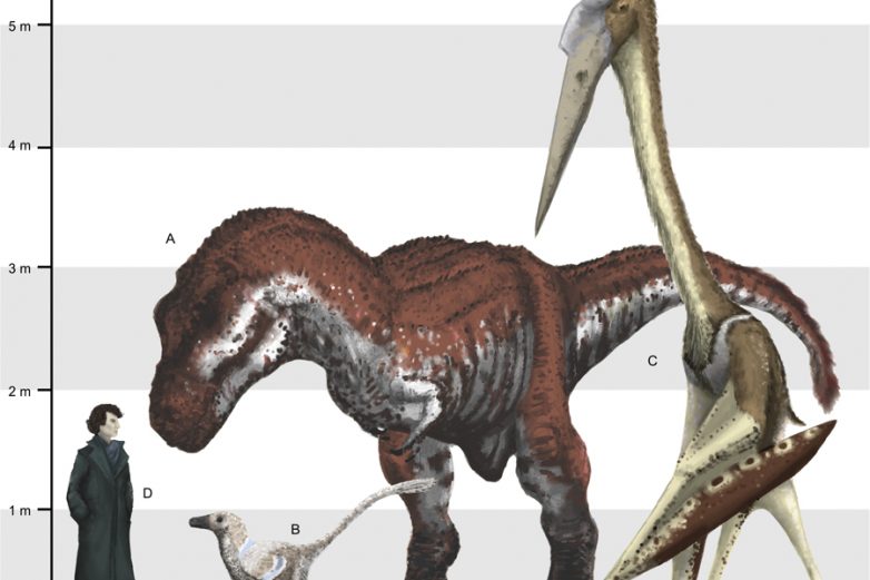 Птерозавры из Трансильвании оказались вампирами