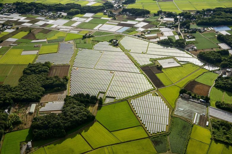 И уму, и сердцу: японские солнечные батареи с высоты птичьего полёта