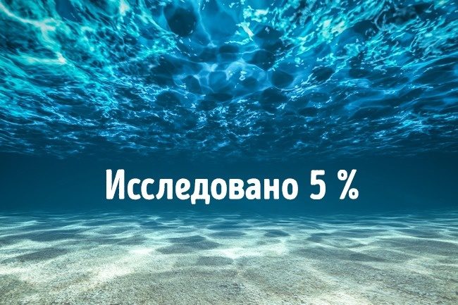 Почему мы зеваем и ещё 17 вопросов, на которые наука не знает ответов