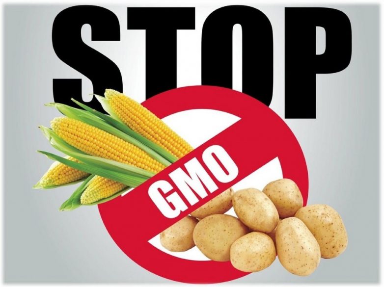 ГМО и ещё 6 вещей, которых давно бы пора перестать бояться
