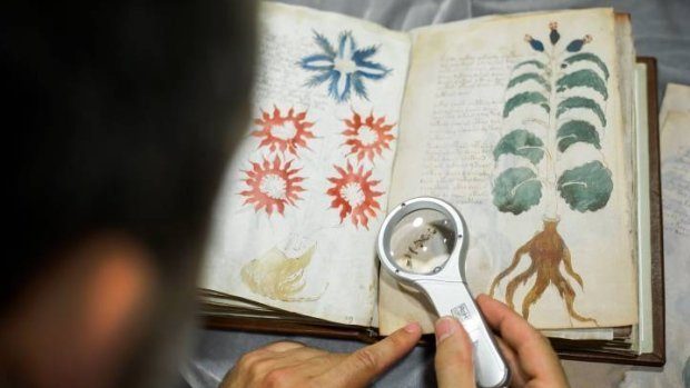 Канадским учёным удалось расшифровать мистический средневековый код Войнича