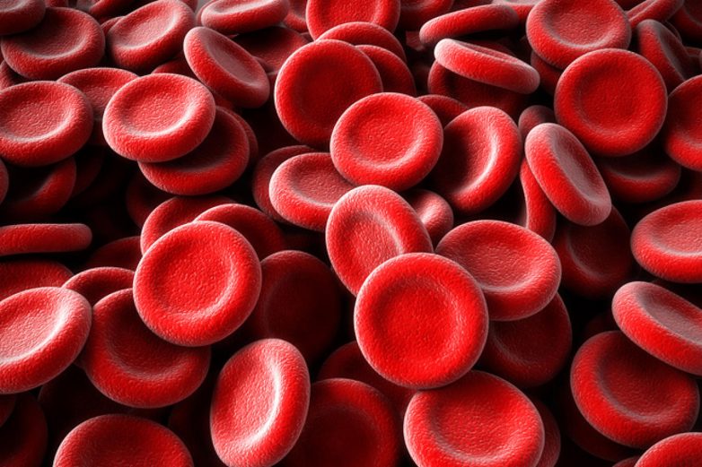 Пачка интересных фактов о крови